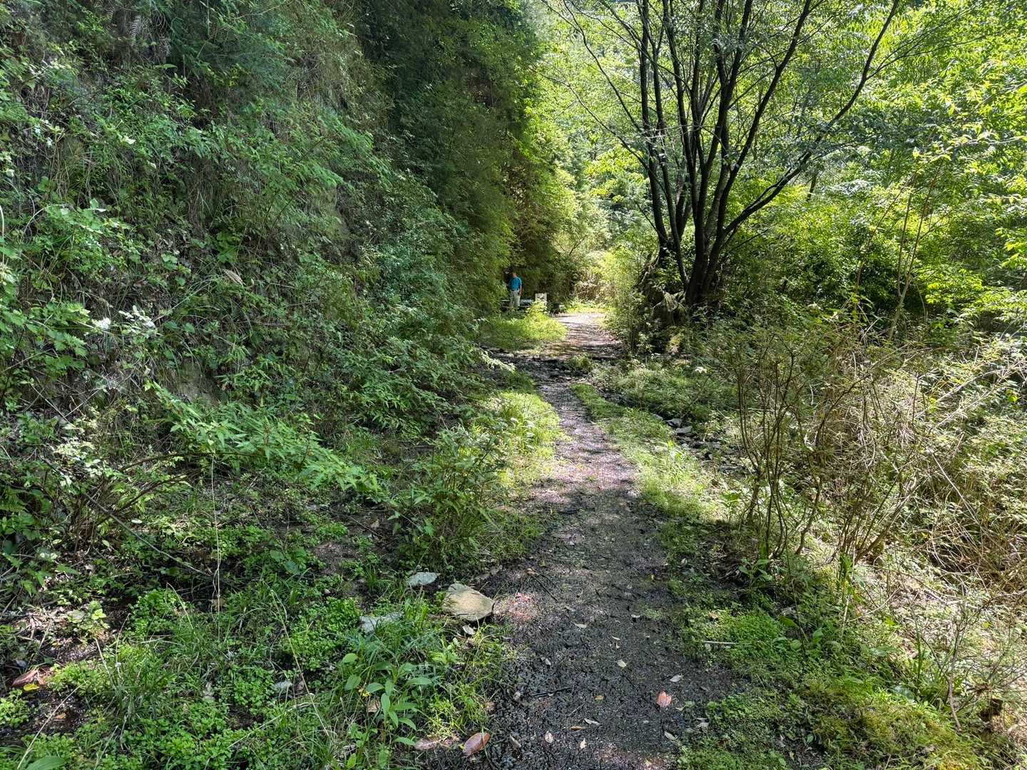 頭巾山登山口-頭巾山-三郡山-つき谷B登山口 周回コースの写真