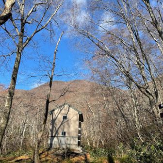 樋の沢小屋〜安堵
小休憩、ゼリー補給
古屋からはひたすら登りです