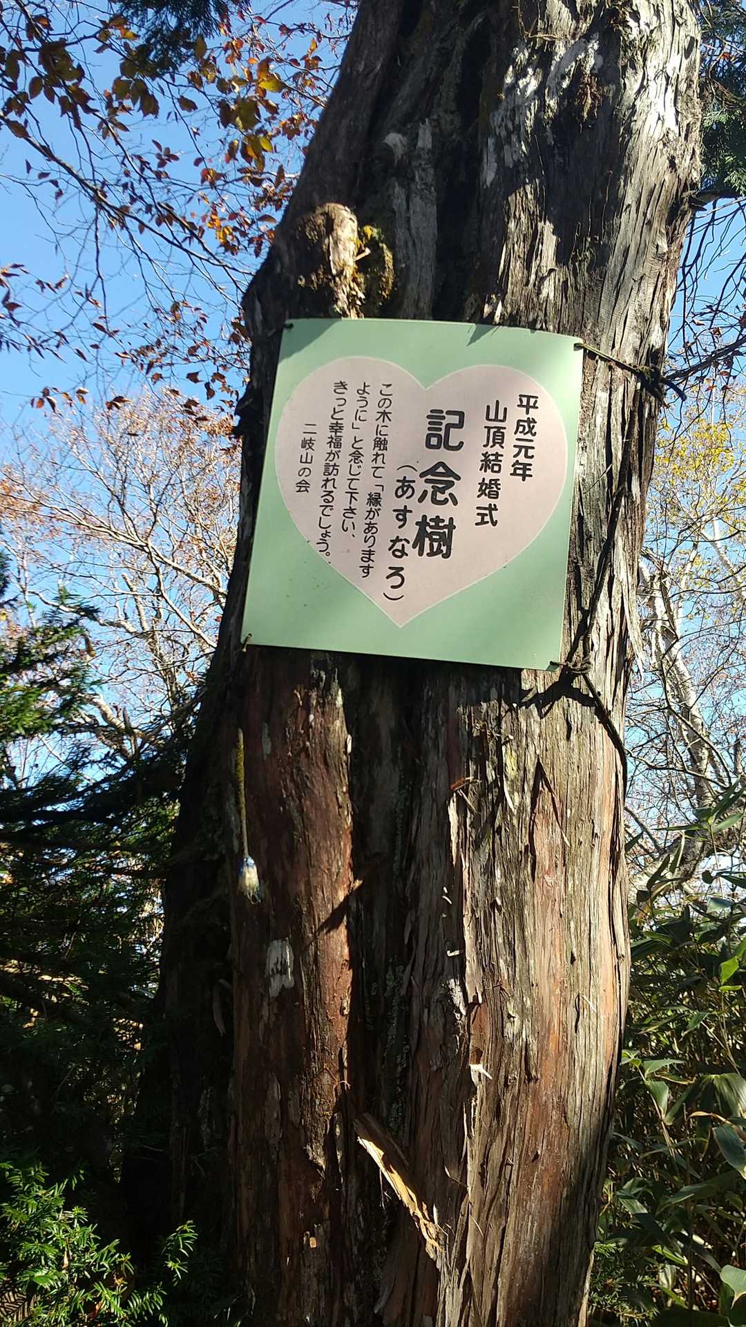 御鍋神社口-二岐山 往復コースの写真