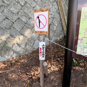 する人いるん？