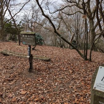 横高山、水井山へが唯一急登やった💦

横高山▲ゲット