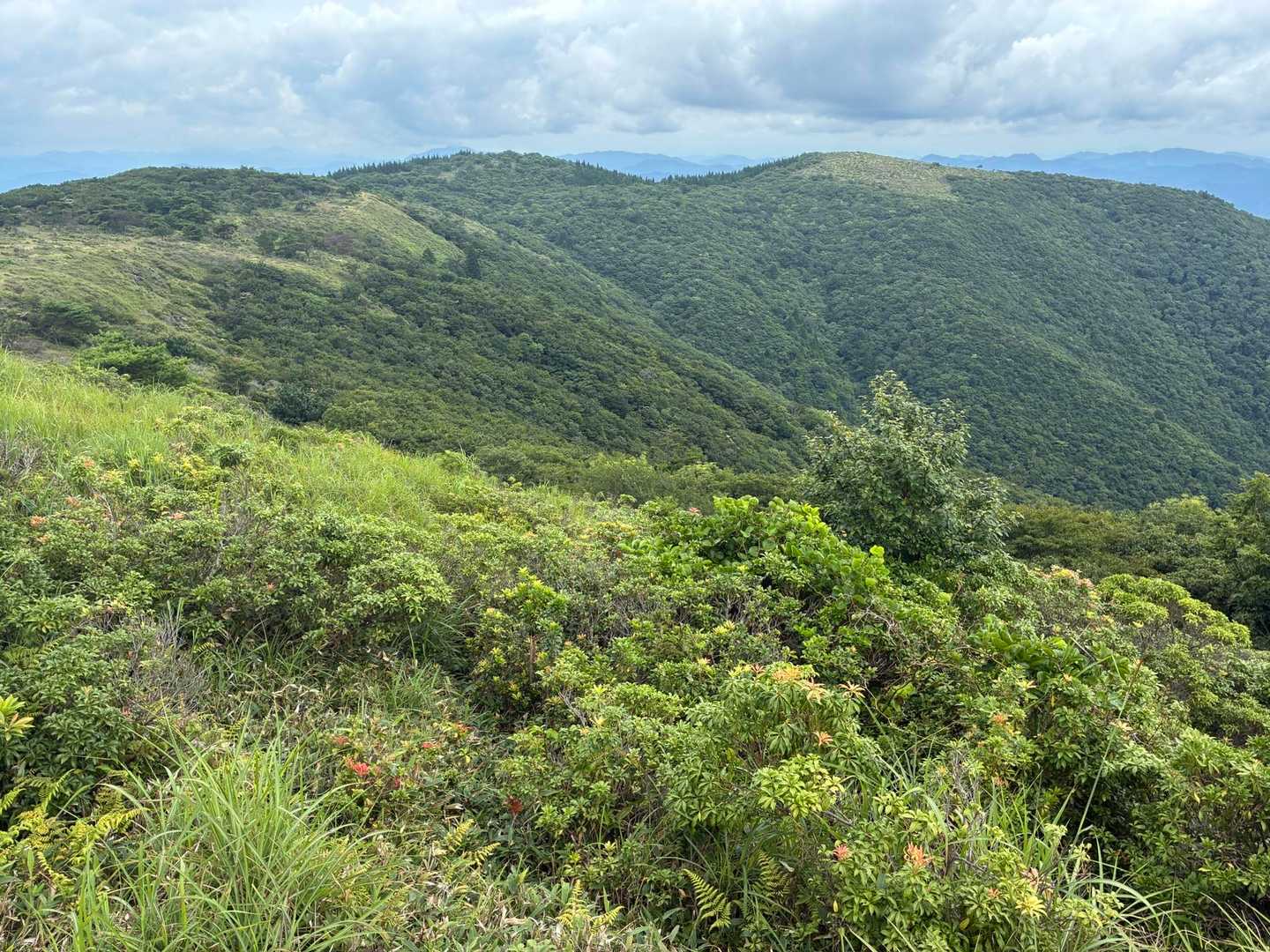 千町峠-段ヶ峰-杉山 往復コースの写真