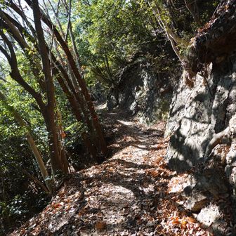 快適なトレイルを進みます♫