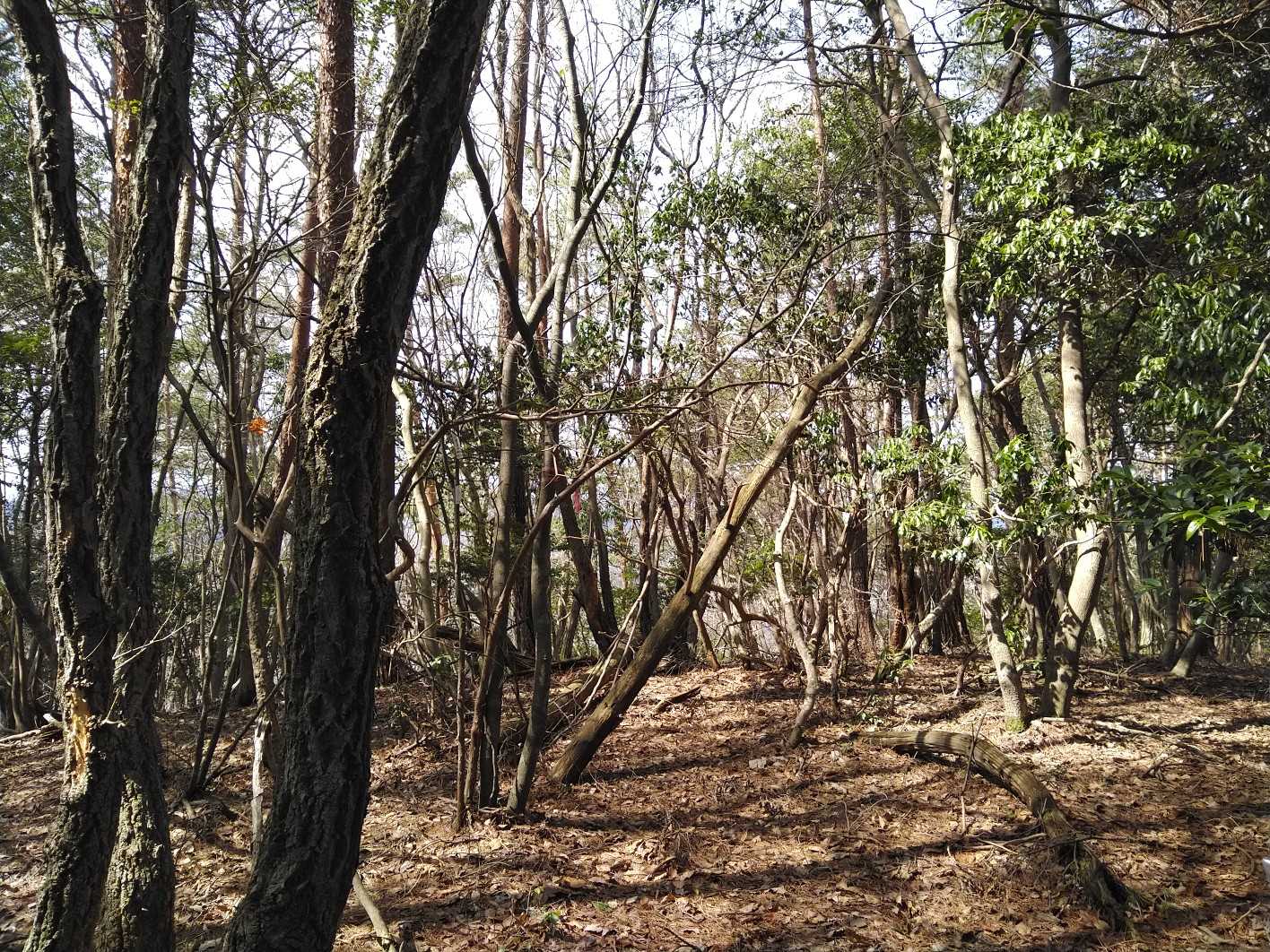 82_ラストの小津古山に到着！