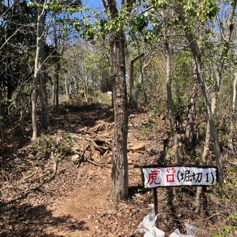 🪧設置されてる‼︎ 😲