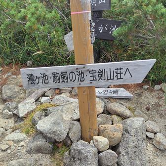 ここは八合目という分岐
将棋頭山は⬅️の方向だが
下りが想定よりハードで時間が足りなくなったので
➡️宝剣岳方面に引き返した😅