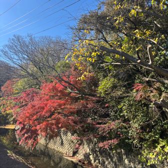 報国寺へ向かいます