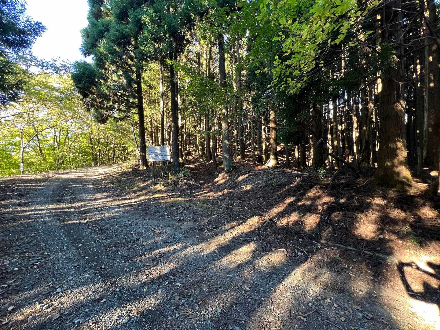 林道を渡って向かい側の登山道へ