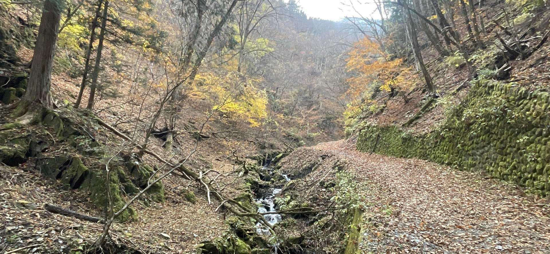 最後の下りは沢沿いを下って行きます。最後は舗装路を30分ほど歩きました。
この後一風呂浴びて、帰りました。
お疲れ様でした♪