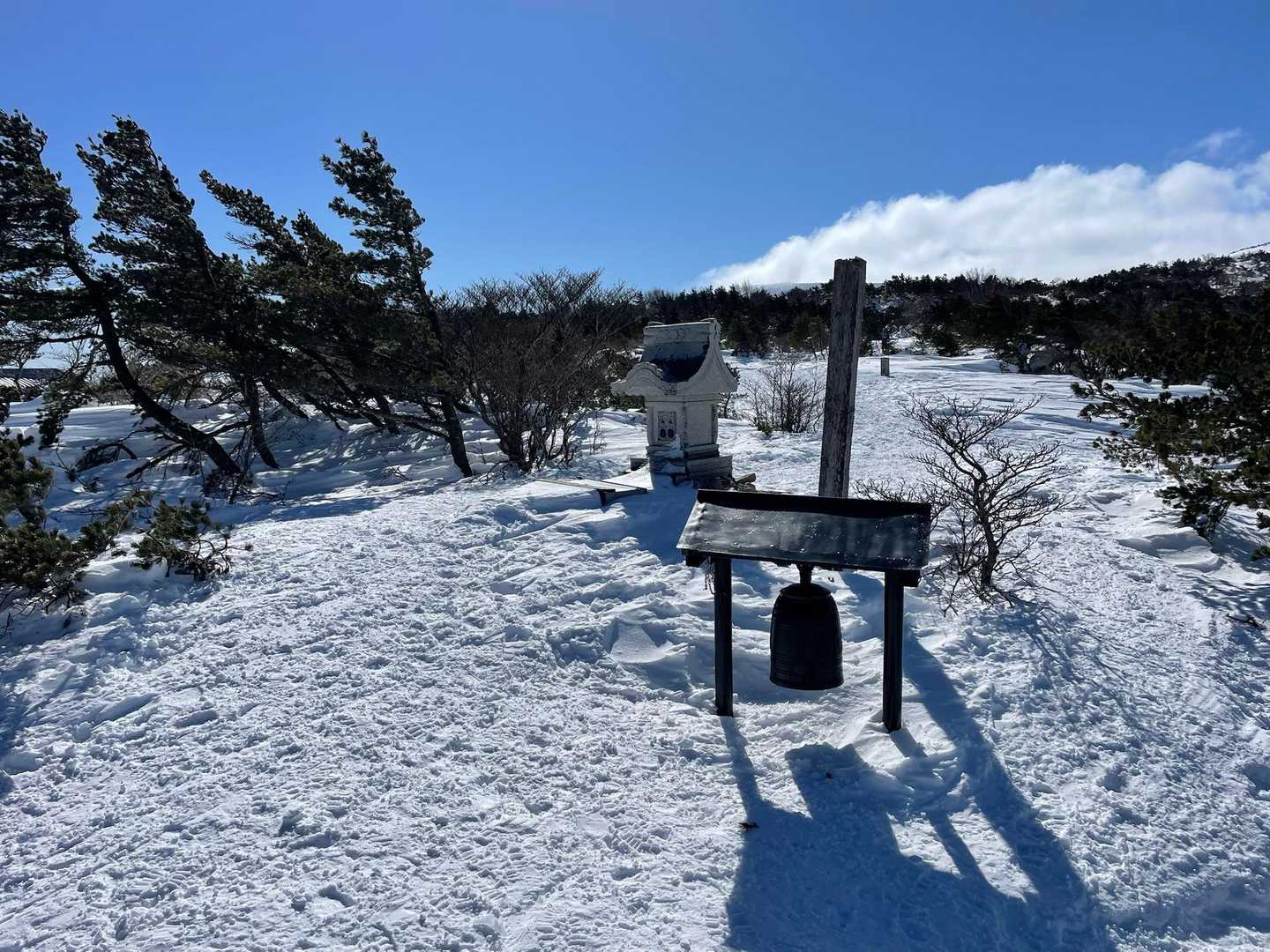 直登したらここに出た‼️
夏では考えられん