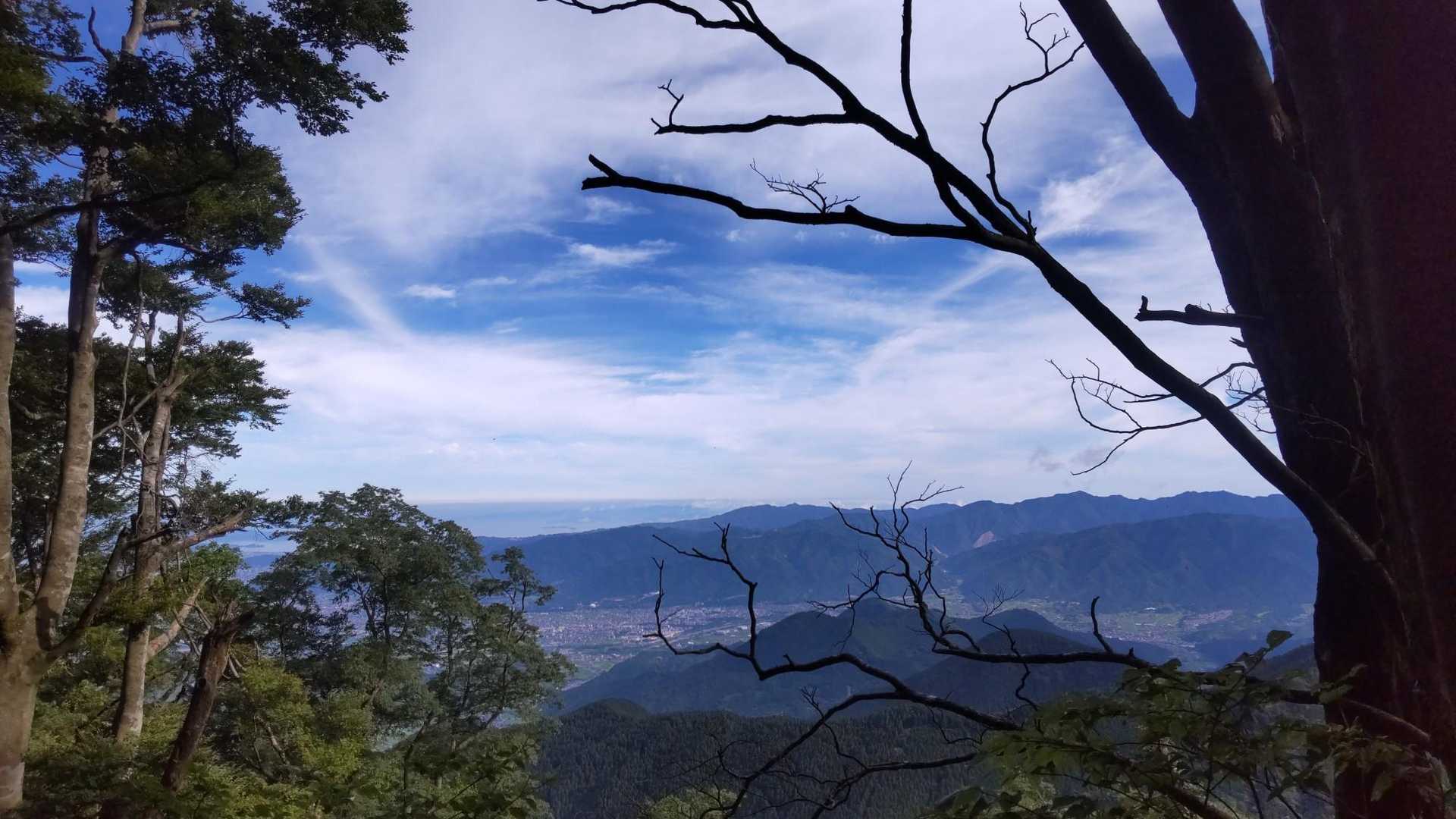 あら、少し開けた景色が✨
