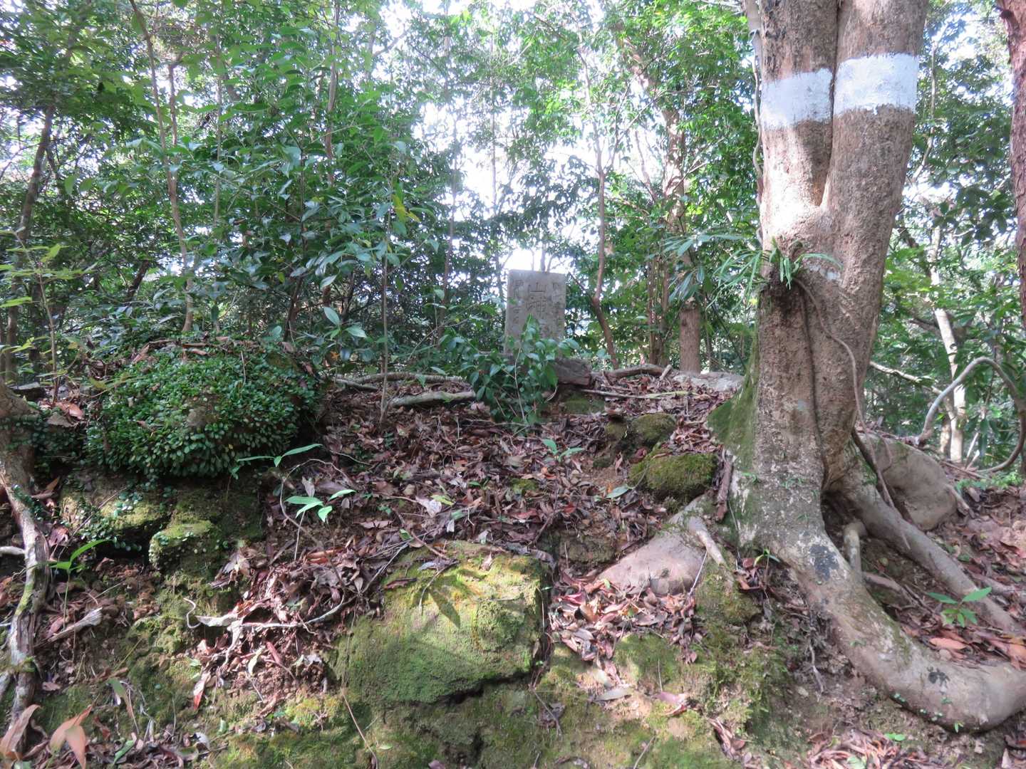 最初の山の神　挨拶して通ります😉☝️
明和？の年号⁉️🙄江戸時代(16世紀後半？)の物😲