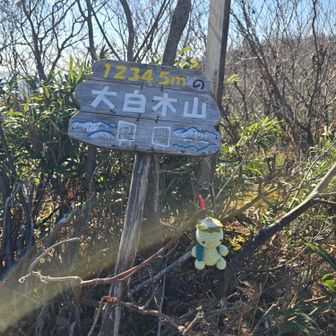 大白木山到着
1234.5m