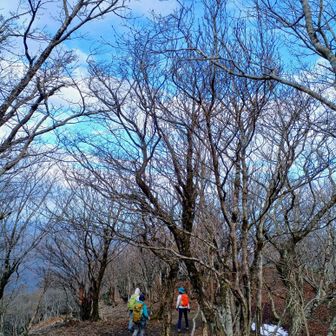 定例メンバーは元気です…ながらペースで、お喋りも進みます。