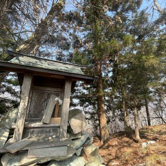 YAMAPの山頂マーク付近に標識とかは見当たらず。奥に進むと祠がありました🙏