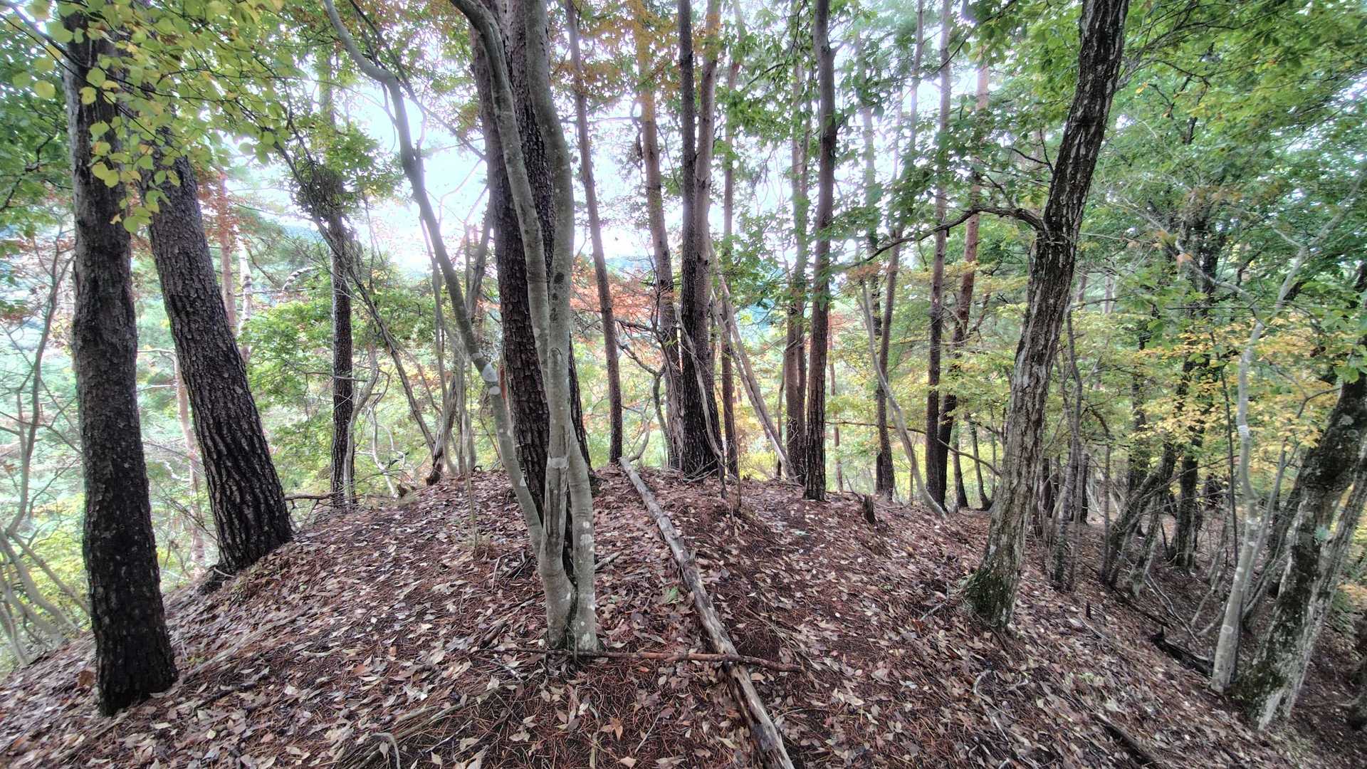 ここがもうひとつの要害山山頂のようです。
とくに山頂標識もなく、騙された感が強いです(笑)