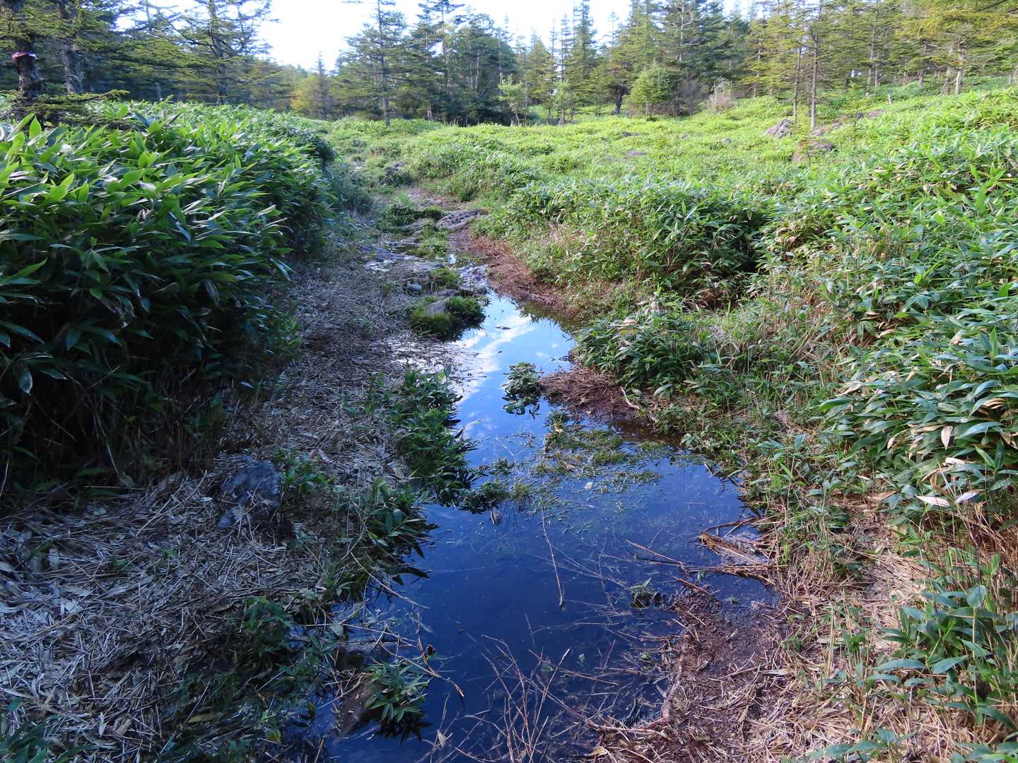 大河原峠に近づくと水たまりが多くなります