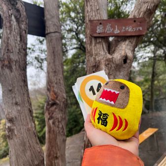 あれ、13番飛ばした⁉️ぎゃわー💦