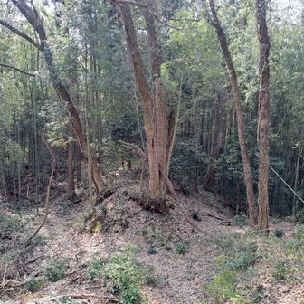 次の山脇山へ
こちらはちょっと荒れぎみの山道