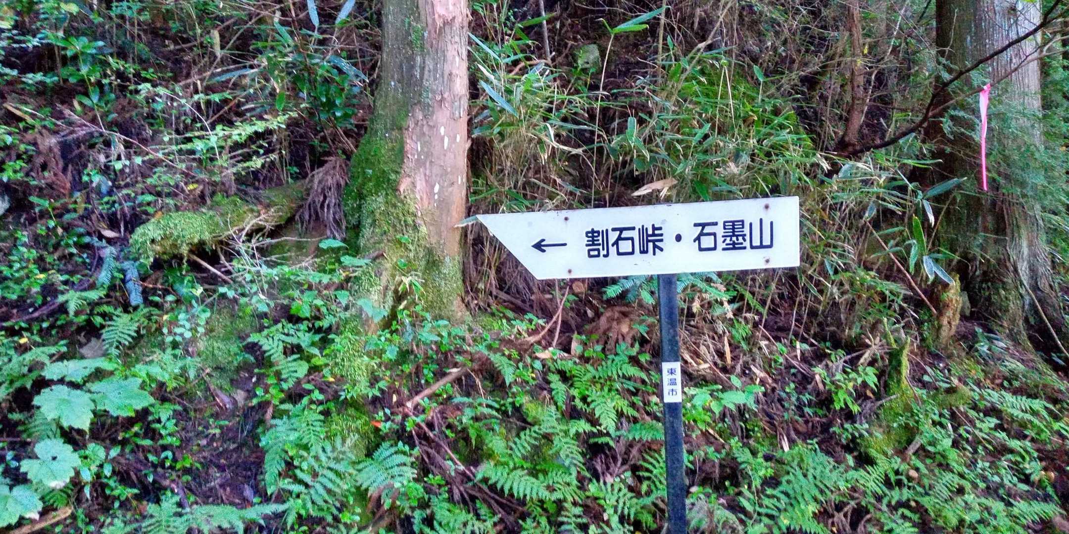 標識…ありがとうございます！