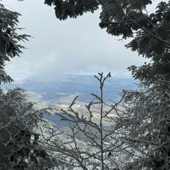 行きは真っ白だったのに、ちょっとだけ見えるようになった👀