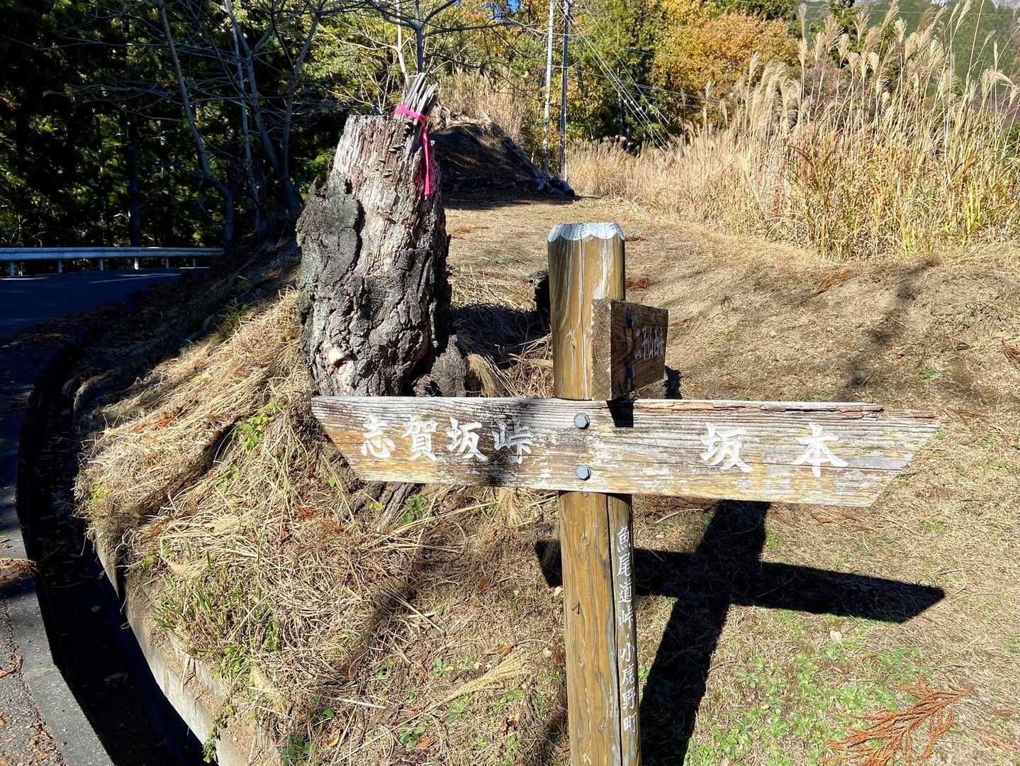 下山しました
あとは舗装路を歩いて