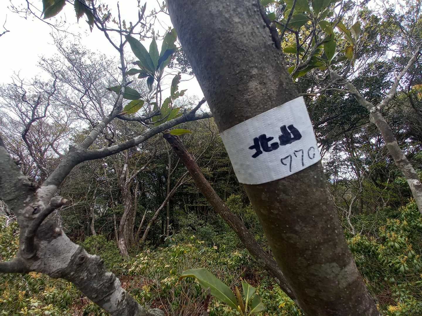 標高770m『北山』を通過。