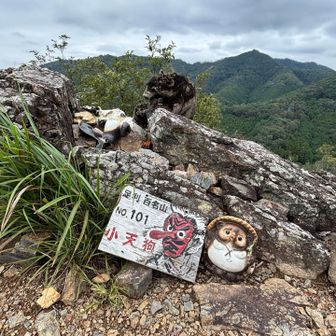 朽ちた木製のクマ（多分）？の彫り物とタヌキ…何故クマとタヌキかは不明？