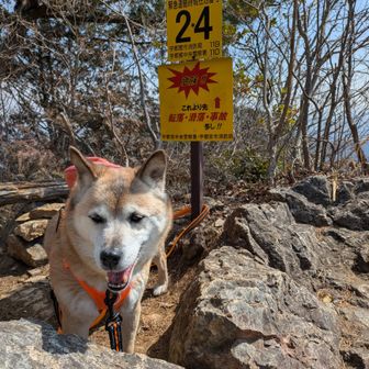 東稜見晴らしで休憩