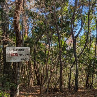 標識もわかりやすい