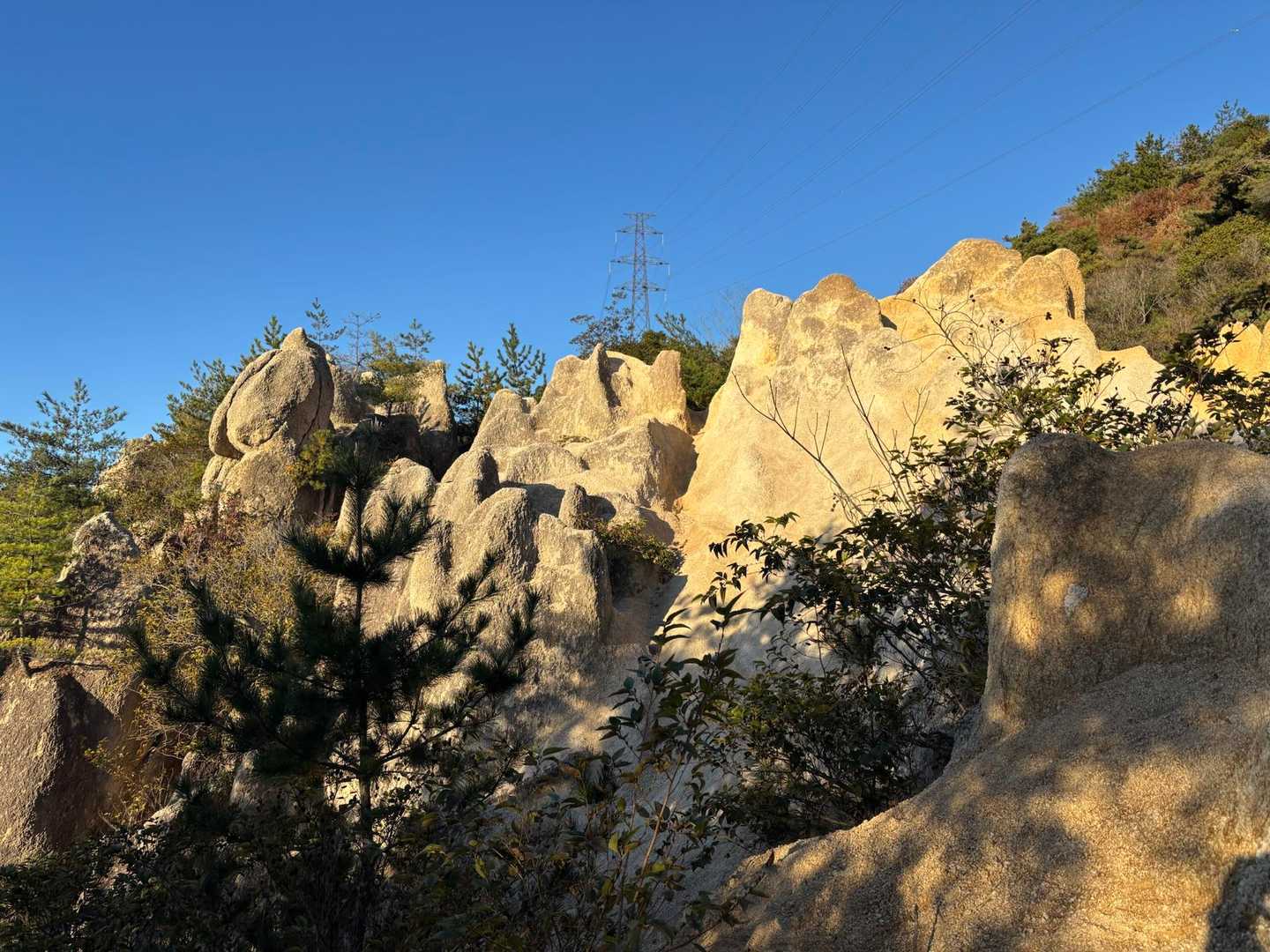 荒地山 往復コースの写真