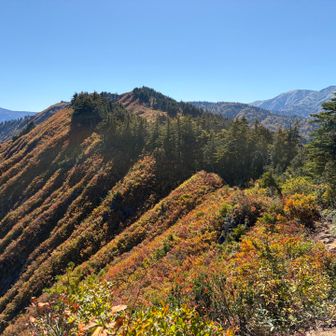 下台倉山から