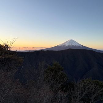 今年は良い年になる予感しかない👍