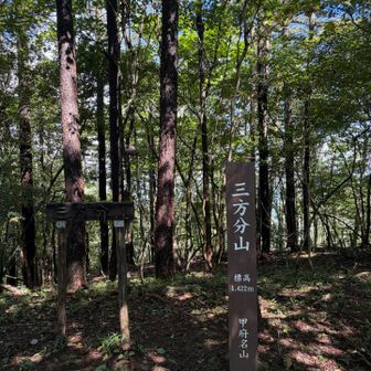 甲府名山にもなっているんですね