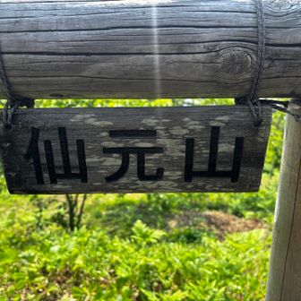 ラストの仙元山！