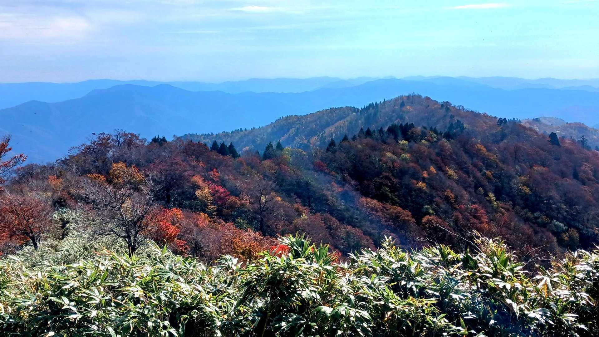 赤谷山 往復コースの写真