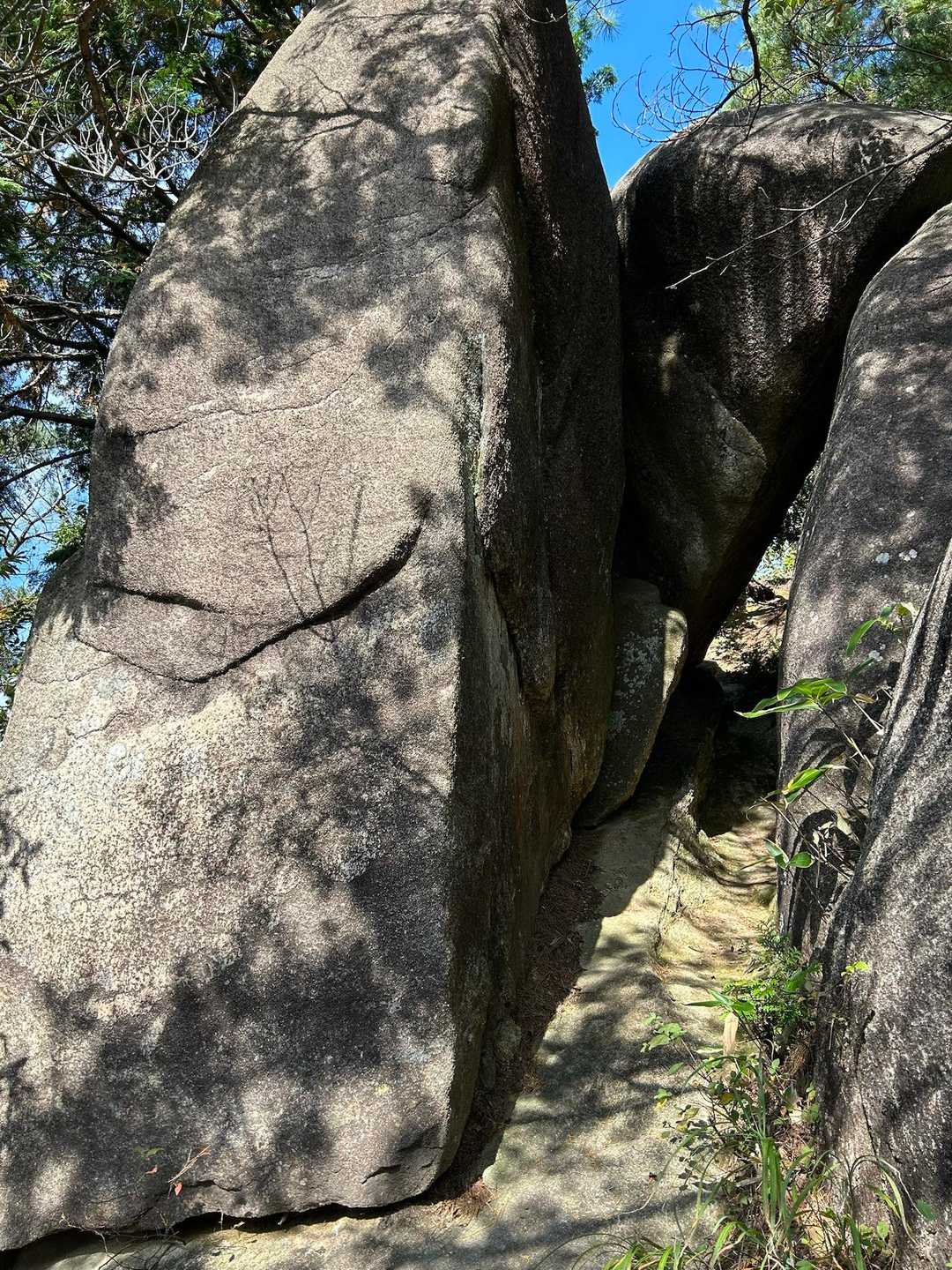 玉峰山 往復コースの写真
