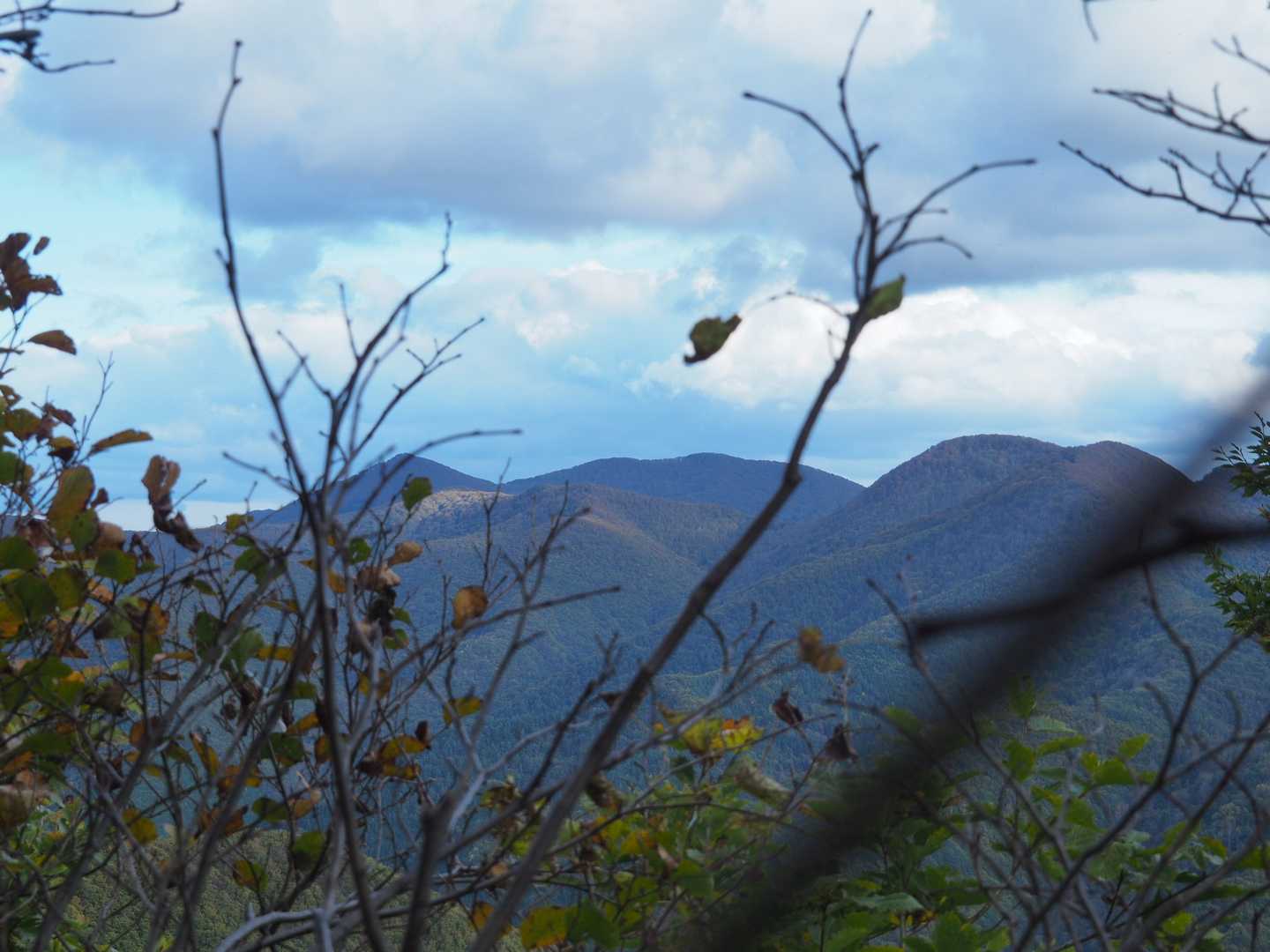 大毛無山