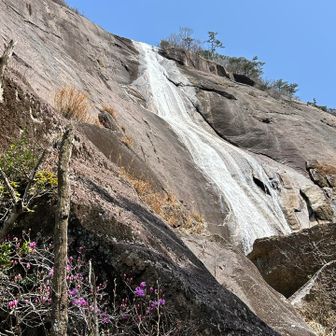 ミツバツツジと大滝