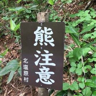 毎日の様に目撃されてるとか　怖