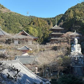 壺阪寺