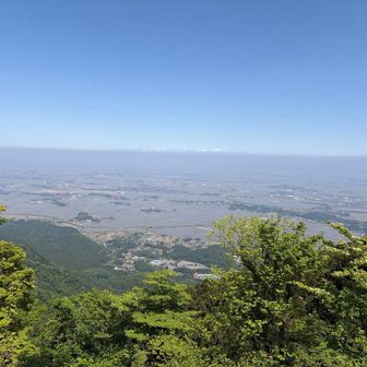 新潟の景色、水田が神秘的です✨