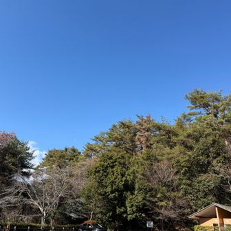 下山。車両台数に増減ナシ