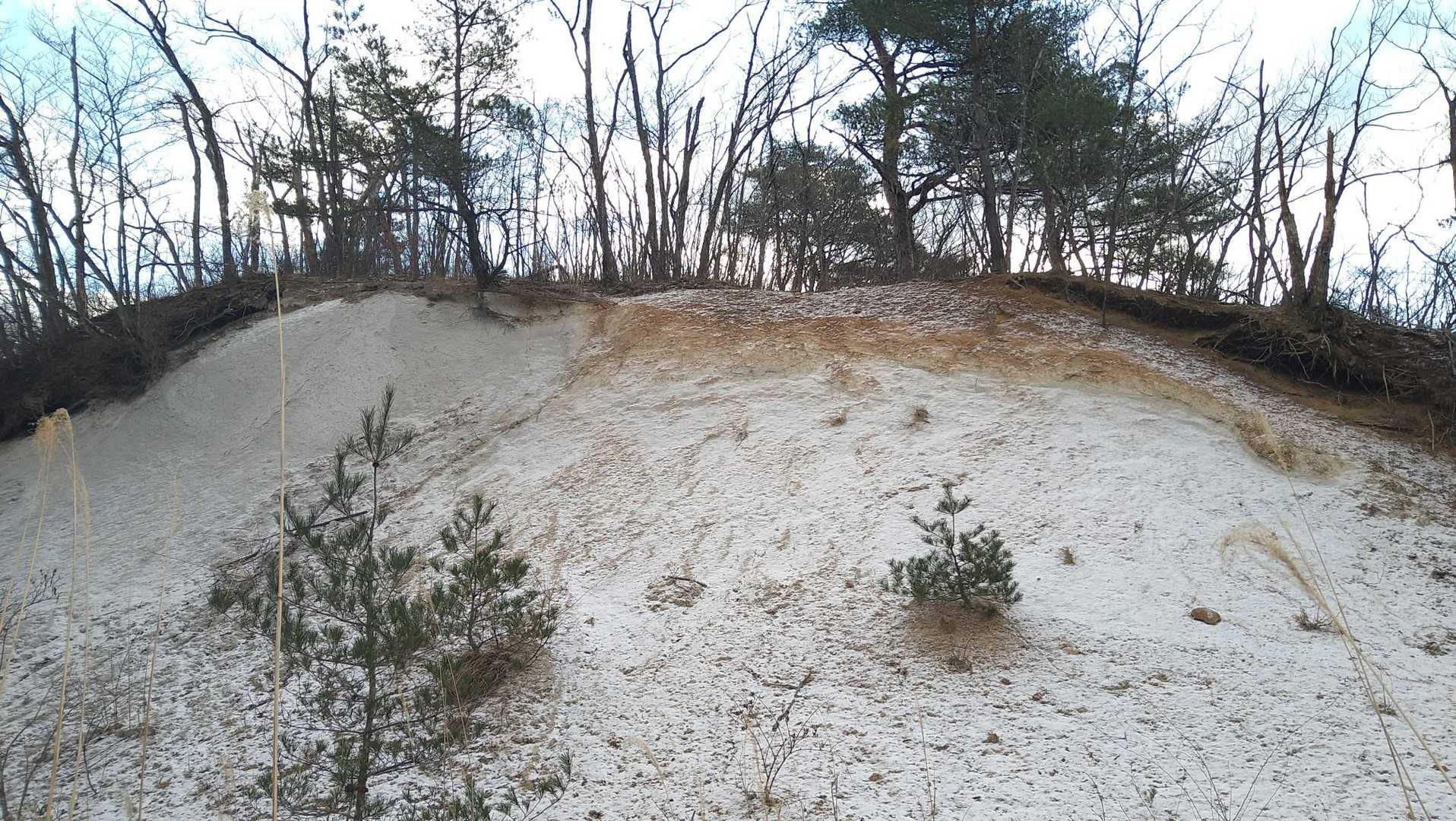 薄っすらとした雪が綺麗です