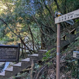 やっと、トロッコ道終点。
大株歩道入口に到着
長かったぁ🥵
ここから階段で右へ行くのですが、その前に…