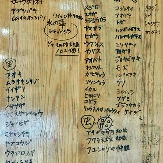 高尾山頂、ビジターセンターの最新自然情報

　花の案内はカンアオイ、ツバキ、ムラサキオニシバリだけ。シモバシラの氷華は今日は見られず。(朝、氷華は見れたようてますが)