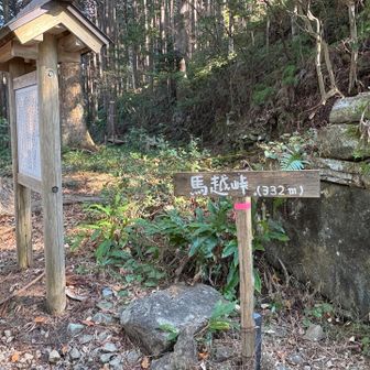 昔は茶屋があったそうな🍵