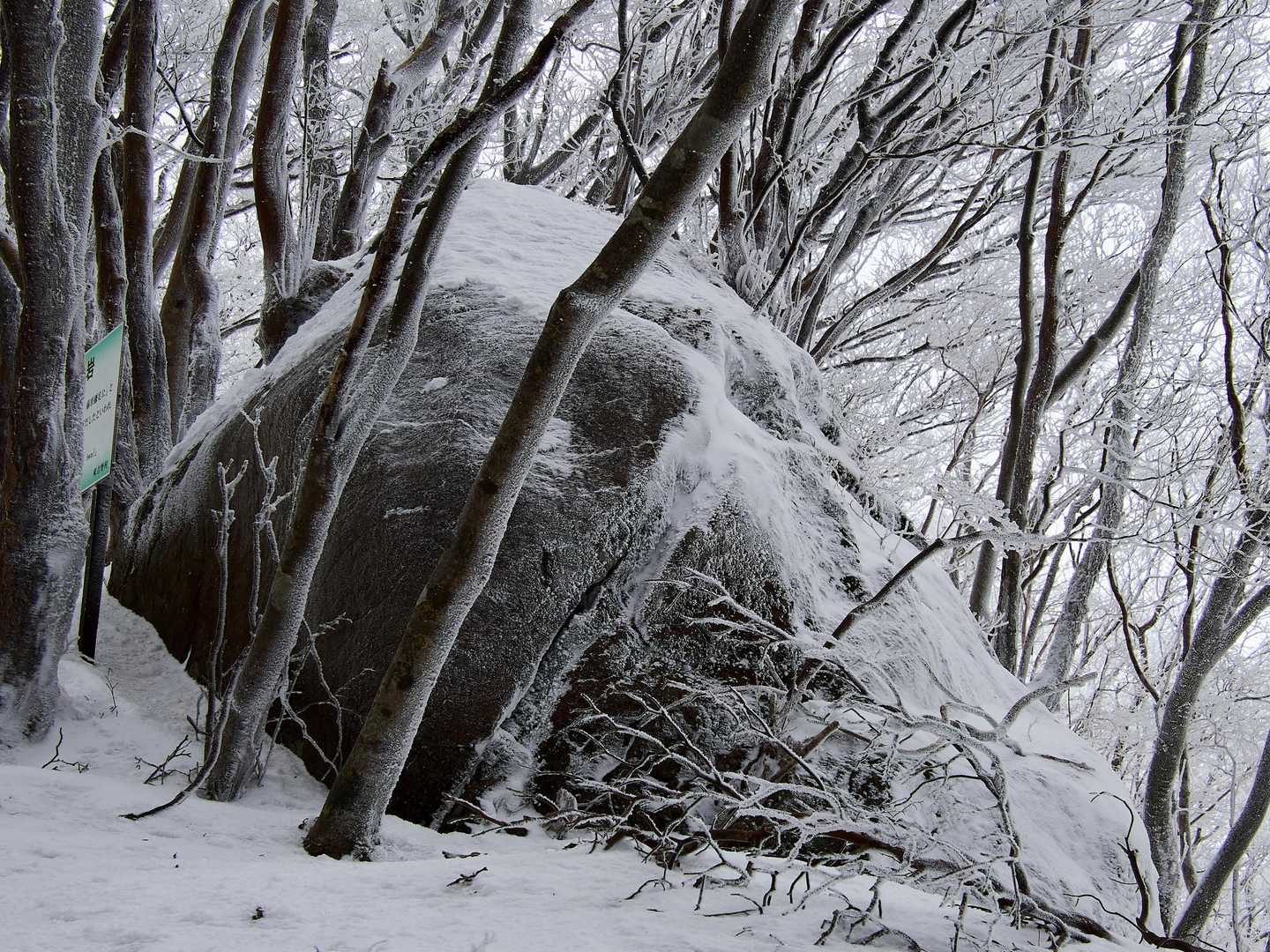 高見山登山口-高見山 縦走コースの写真