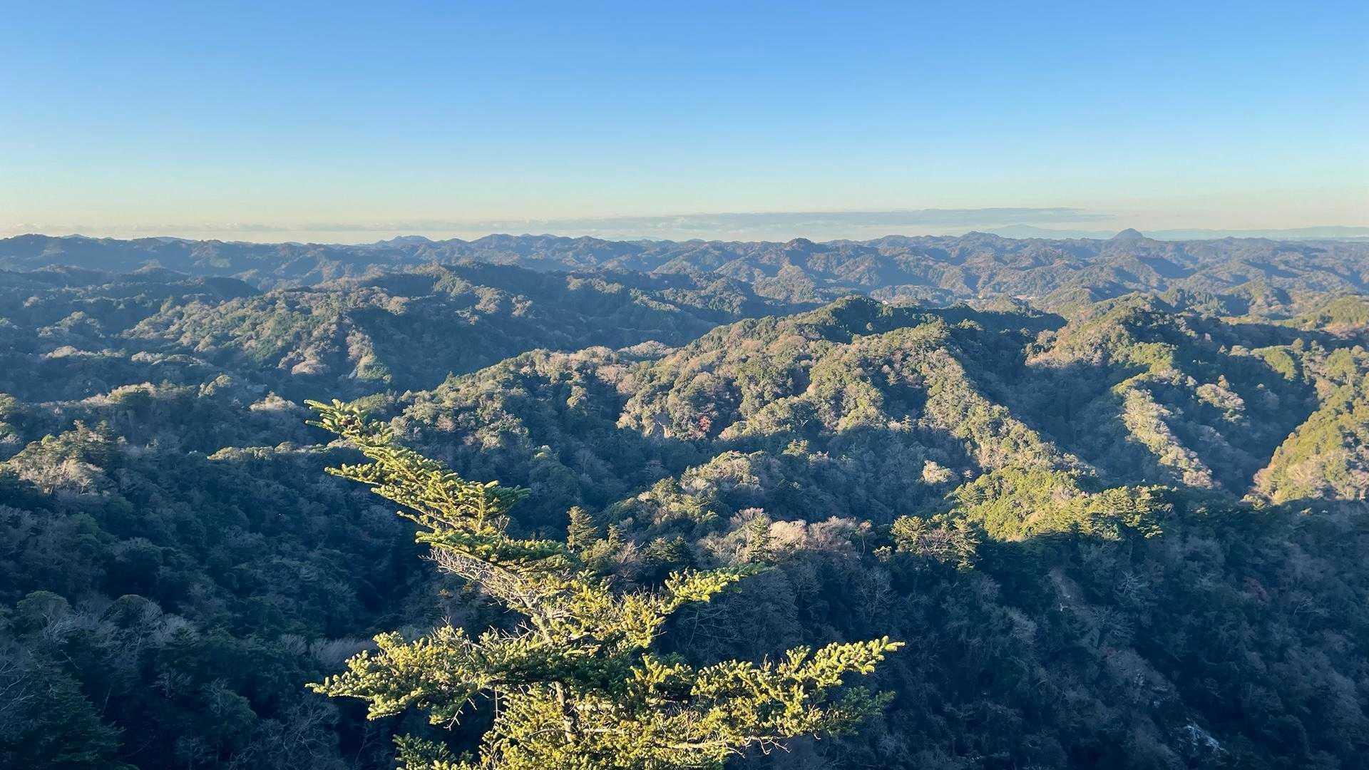 標高はたった330mなのに…

360度パノラマビュー✨しかも遠くまで見渡せるのが、千葉県の山のええ所やね！👍