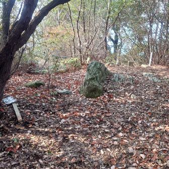 山頂こんな感じの所です